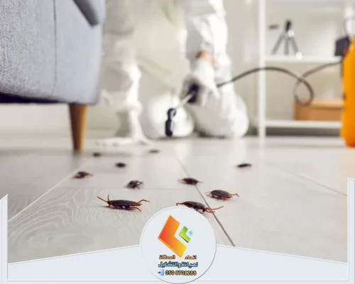 ارخص مكافحة الصراصير بالرياض 0530613269 اتحاد المملكة مكافحة فعالة لصراصير المطبخ والأرضيات بخدمة احترافية مضمونة.