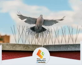 شركة تركيب طارد حمام بالرياض