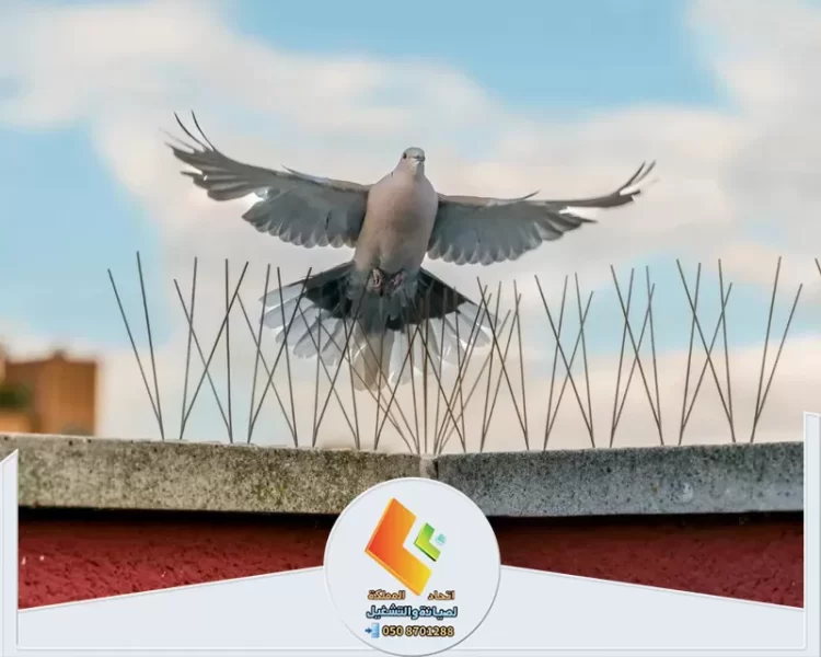 شركة تركيب طارد حمام بالرياض