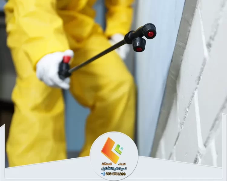 شركة مكافحة حشرات بالرياض