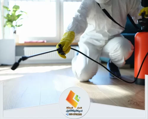 مكافحة حشرات بالرياض أخصائي مكافحة الحشرات يعمل بحذر للحفاظ على منزلك خاليًا من الآفات.