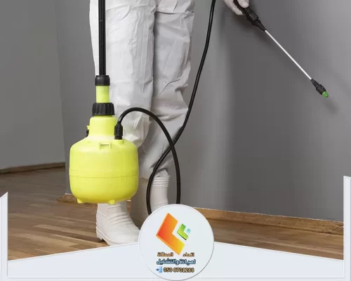 أفضل شركة مكافحة حشرات بالرياض 0530613269 اتحاد المملكة تقنيات رش مبيدات متقدمة لمكافحة الحشرات في منزلك بأمان.