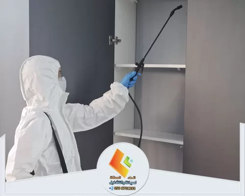 رش الحشرات في الرياض 0530613269 اتحاد المملكة تطبيق رش المبيدات في الأماكن المخفية لضمان الحماية التامة من الحشرات.