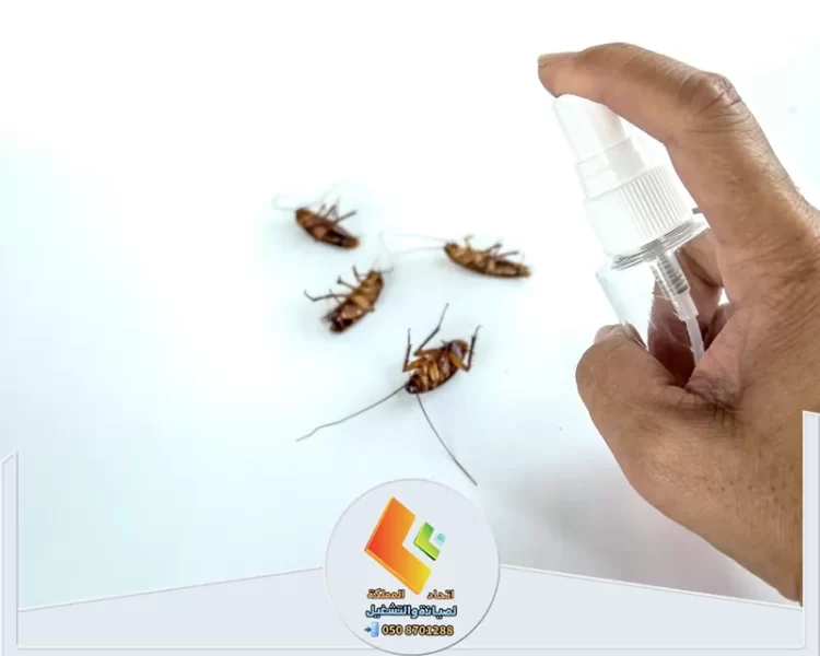 أنواع الحشرات المنزلية الشائعة وكيفية التخلص منها