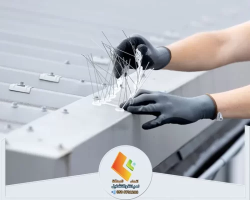 تركيب شبك طارد الحمام بالرياض 0578673748 شركة اتحاد المملكة استخدام أفضل أنواع الأشواك المعدنية المقاومة للصدأ لطرد الطيور بفعالية.