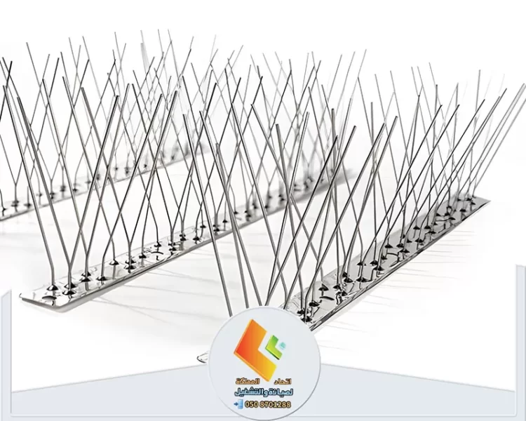 افضل 10 طرق لطرد الحمام من المنزل