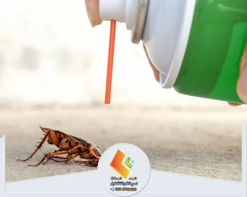 مكافحة الفئران في الرياض 0578673748 شركة اتحاد المملكة استخدام مبيدات آمنة وذات مفعول قوي للقضاء الفوري على الصراصير.