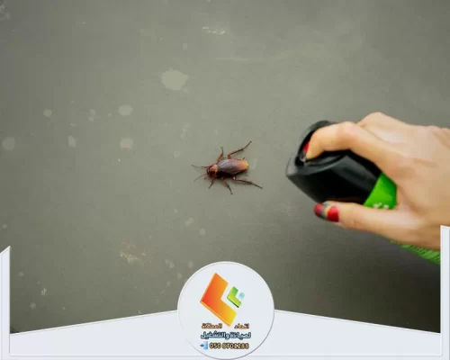 مكافحة صرصور داخل المنزل باستخدام مبيد مخصص للقضاء على الحشرات والحد من انتشارها.