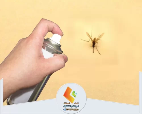 مكافحة البعوض داخل المنزل باستخدام بخاخ مبيد حشري للحد من الحشرات الطائرة والتخلص منها.