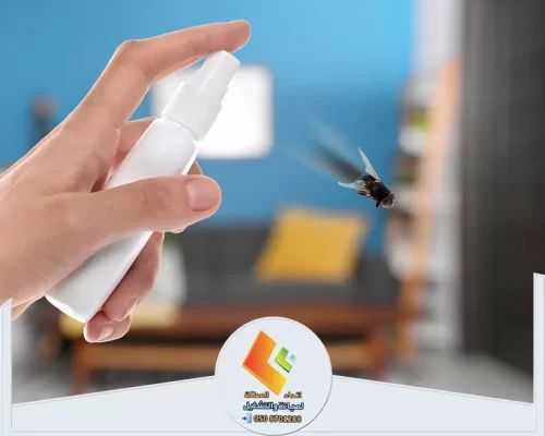 مكافحة الذباب داخل المنزل باستخدام بخاخ للحشرات الطائرة للحد من انتشارها في الغرف.