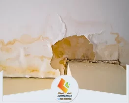 الرطوبة في المنزل وطرق التعامل معها والتخلص منها